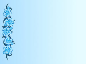 Light Blue Floral Border Design with Hibiscus Flowers and Dark Vines on a Soft Gradient Background HD wallpaper