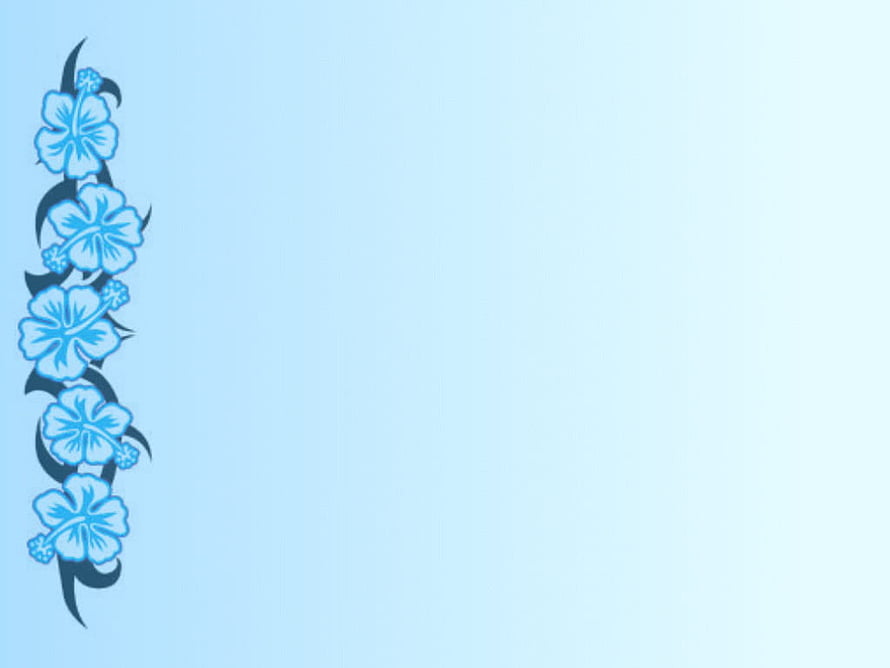 Light Blue Floral Border Design with Hibiscus Flowers and Dark Vines on a Soft Gradient Background HD wallpaper