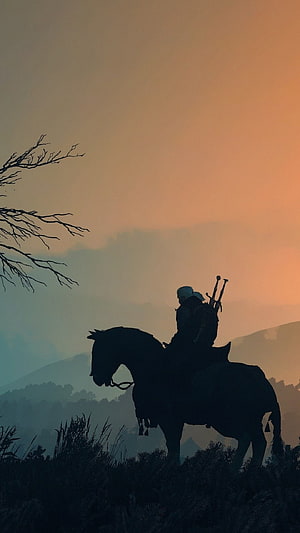 Silhouette of a warrior on horseback against a misty sunset landscape HD phone wallpaper