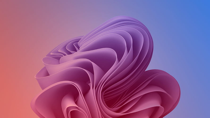Windows 11 Purple Abstract 3D Ribbon Wallpaper HD wallpaper