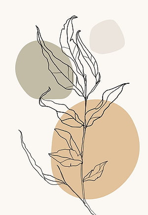 Minimalist Line Art Plant Illustration with Abstract Beige and Taupe Circles HD phone wallpaper