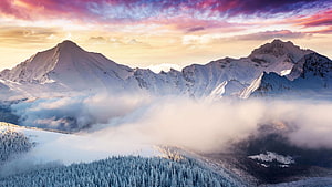 Snow-Covered Mountain Peaks Rising Above a Sea of Clouds at Sunset HD wallpaper