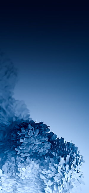 Abstract Blue Floral Gradient Wallpaper HD phone wallpaper
