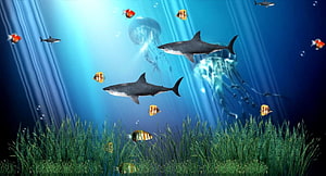 Vibrant Underwater Ocean Scene With Sharks, Jellyfish, and Tropical Fish HD wallpaper