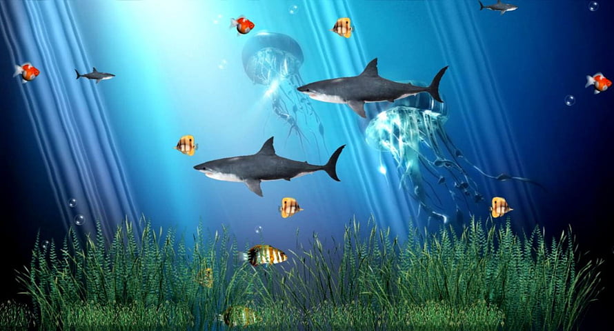 Vibrant Underwater Ocean Scene With Sharks, Jellyfish, and Tropical Fish HD wallpaper