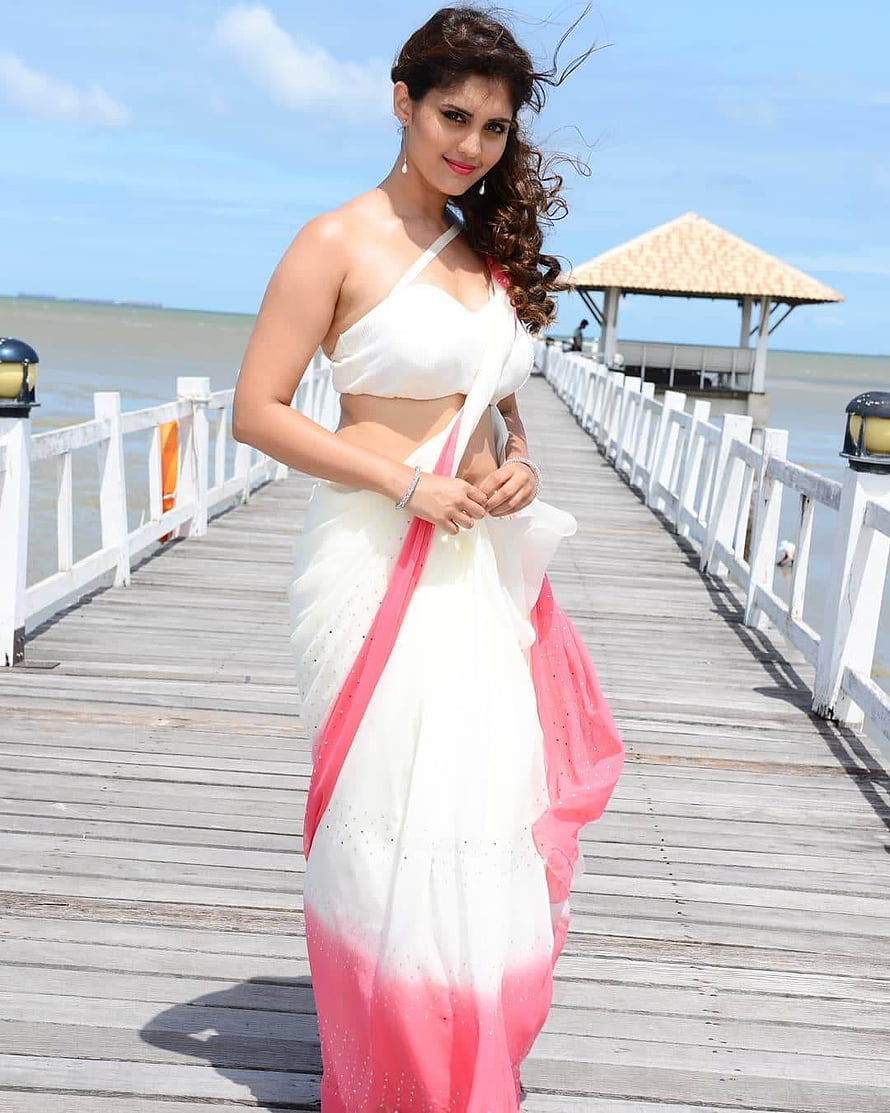 Surabhi Puranik in White and Pink Saree on a Coastal Wooden Pier HD phone wallpaper