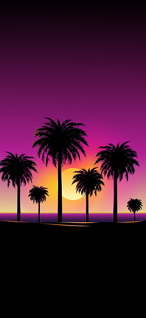 Tropical Palm Tree Silhouettes Against a Vibrant Purple and Orange Sunset Sky HD phone wallpaper