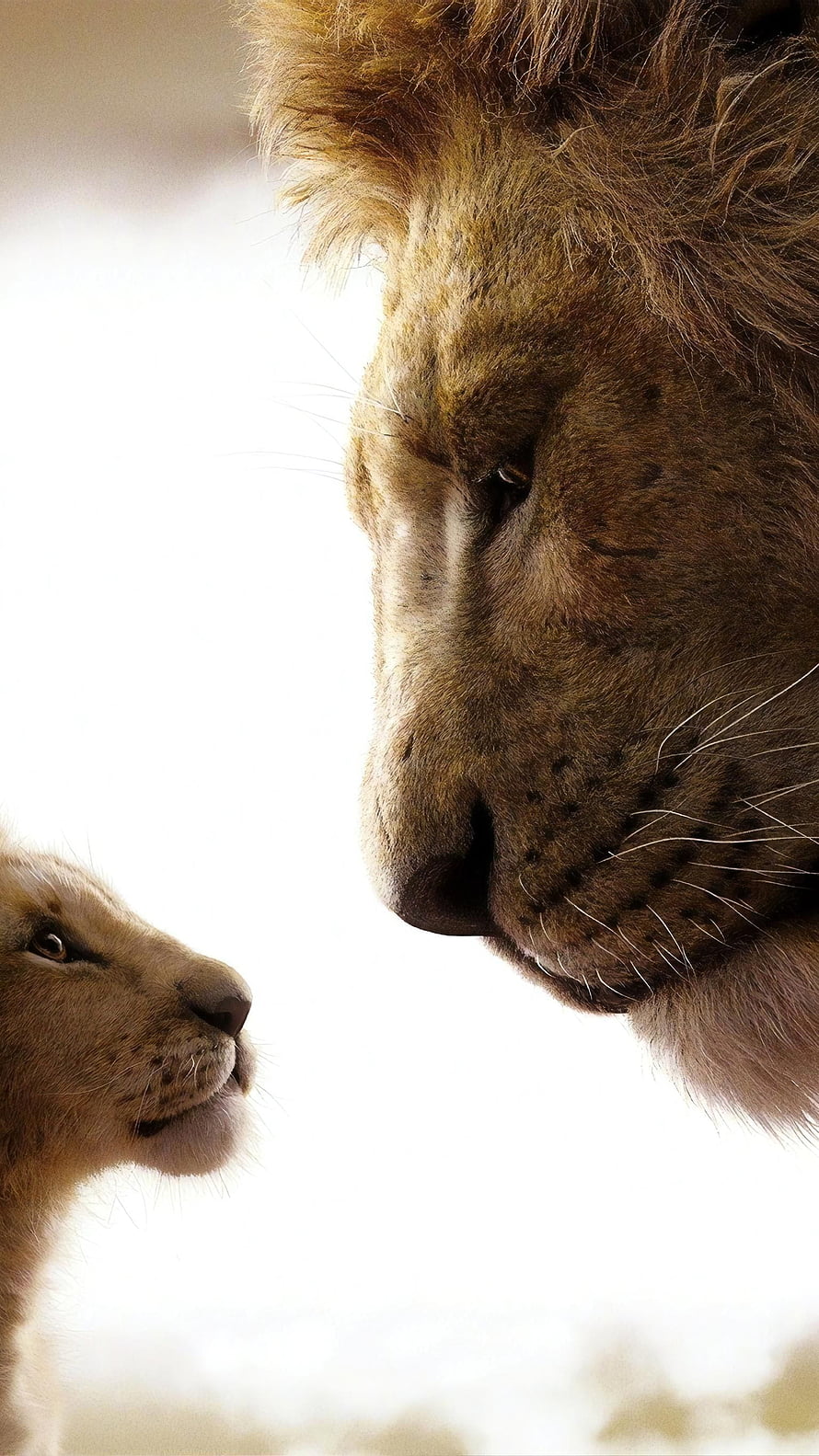 The Lion King Cinematic Close-Up of Mufasa and Simba in Tender Profile HD phone wallpaper