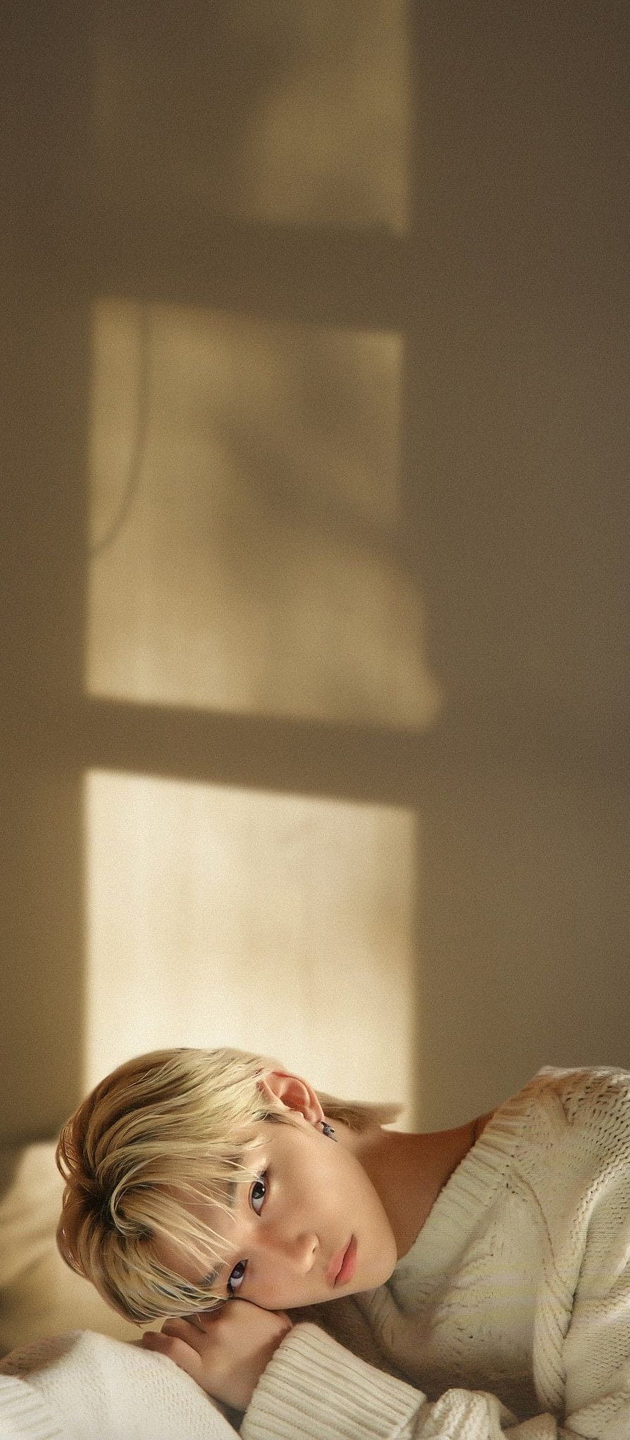 Lee Felix of Stray Kids in a Soft Knit Sweater with Warm Window Light HD phone wallpaper