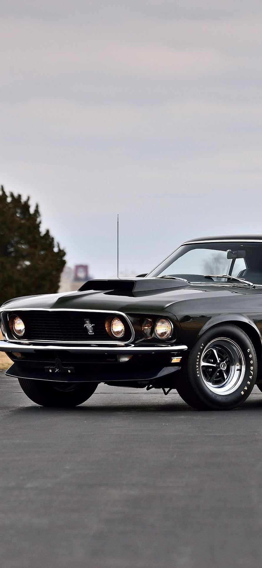 Classic Black 1969 Ford Mustang Mach 1 Muscle Car with Hood Scoop HD phone wallpaper