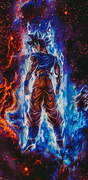 Goku Super Saiyan Blue Back View Anime Wallpaper HD phone wallpaper