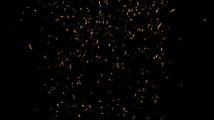 Glowing Fire Sparks Scattering Against a Deep Black Background HD wallpaper