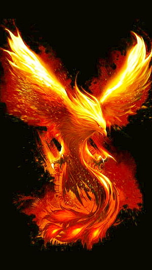 Fiery Phoenix Bird with Glowing Wings and Intense Orange Flames on Black Background HD phone wallpaper