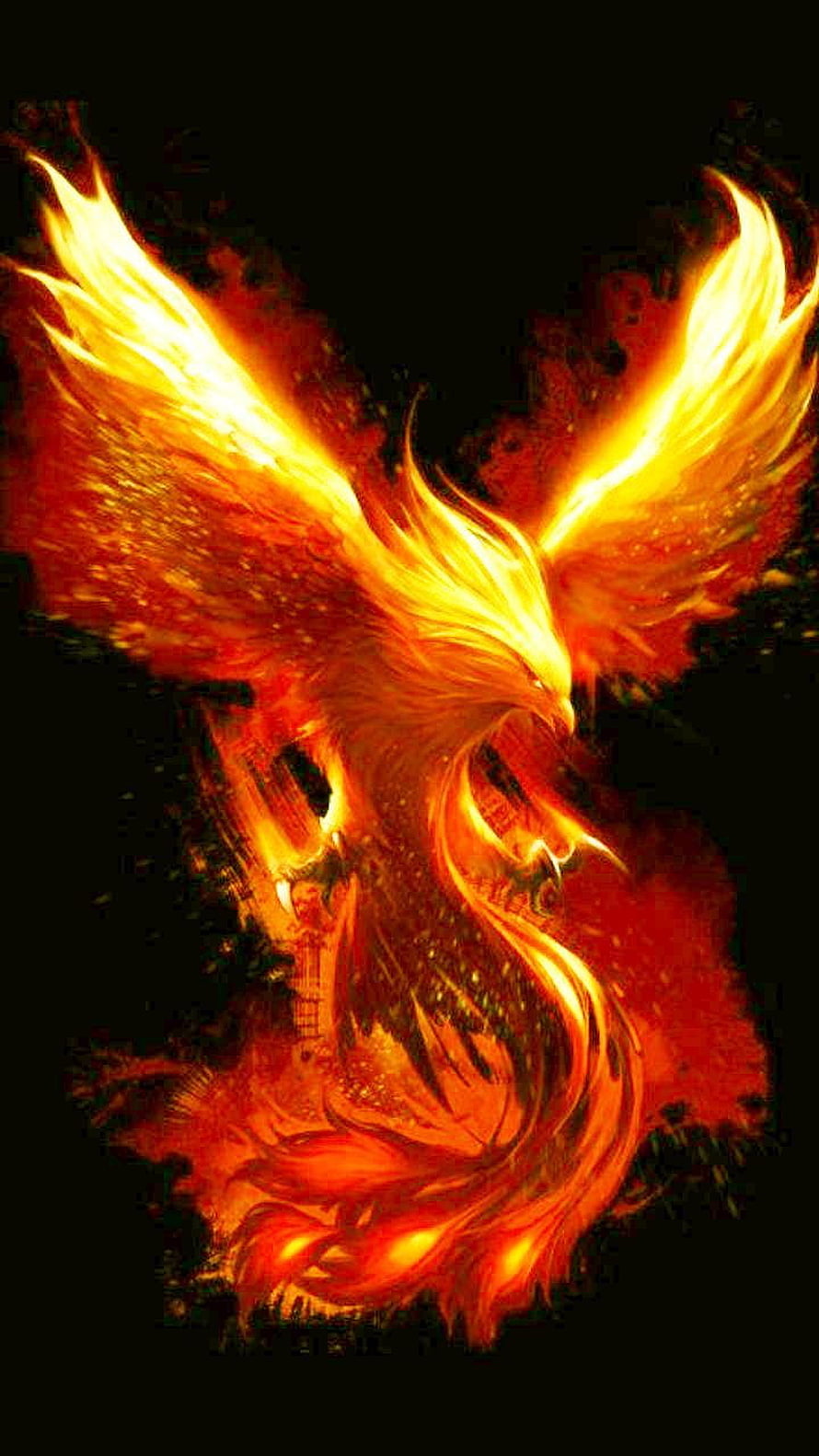 Fiery Phoenix Bird with Glowing Wings and Intense Orange Flames on Black Background HD phone wallpaper