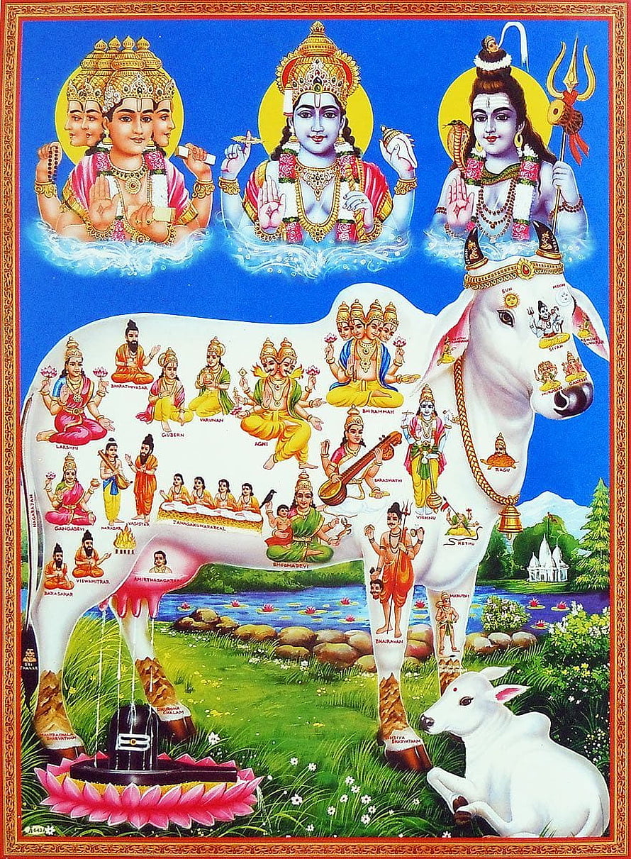 Kamadhenu Divine Cow Hindu Mythology Art with Trimurti and Deities HD phone wallpaper