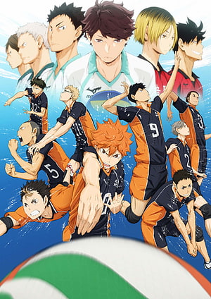 Haikyuu!! Karasuno High Volleyball Team Action Poster with Dynamic Player Poses HD phone wallpaper