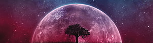 Lone Tree Silhouette Against Giant Purple Moon in Starry Night Sky HD wallpaper