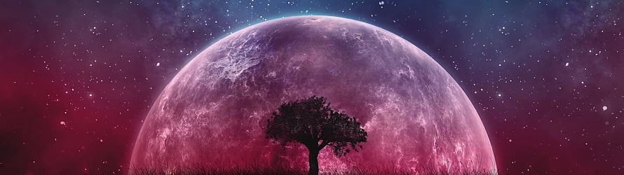Lone Tree Silhouette Against Giant Purple Moon in Starry Night Sky HD wallpaper