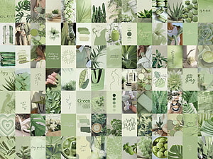 Sage Green Boho Aesthetic Mood Board Collage with Plants and Minimalist Design HD wallpaper