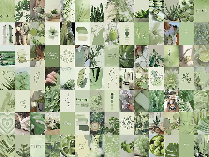 Sage Green Boho Aesthetic Mood Board Collage with Plants and Minimalist Design HD wallpaper