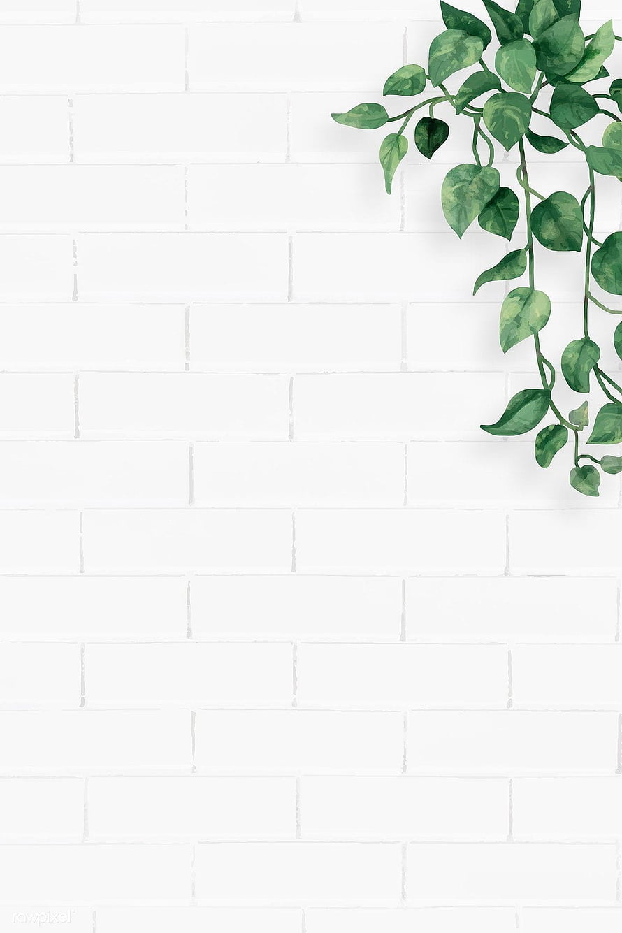 Green Pothos Plant Hanging Against White Brick Wall Background HD phone wallpaper