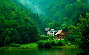 Serene Lakeside Cottages Nestled in Lush Green Forest Valley HD wallpaper