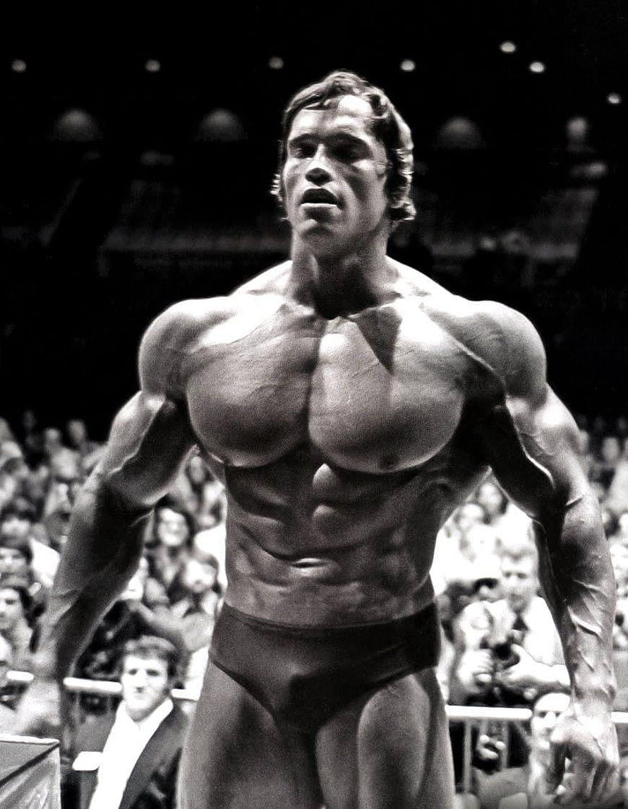 Arnold Schwarzenegger Classic Bodybuilding Pose Black and White Portrait HD phone wallpaper