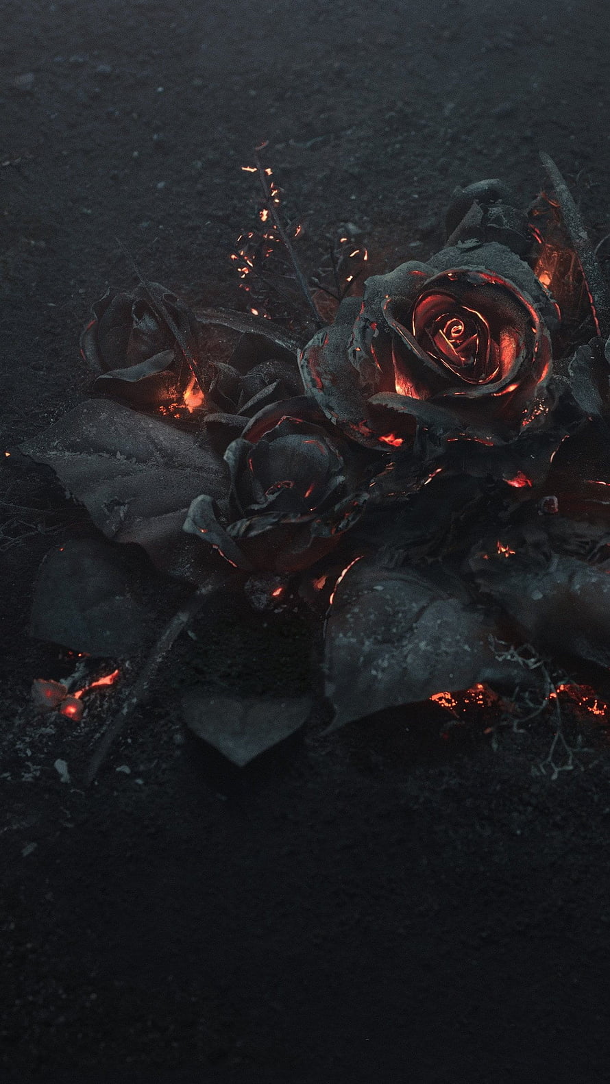 Charred Black Roses with Glowing Embers on Dark Ashy Ground HD phone wallpaper