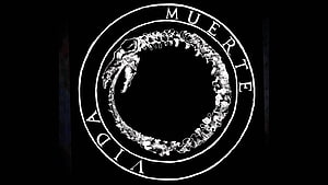 Muerte y Vida Snake Skeleton Ouroboros Symbol Black and White Tattoo Design HD wallpaper