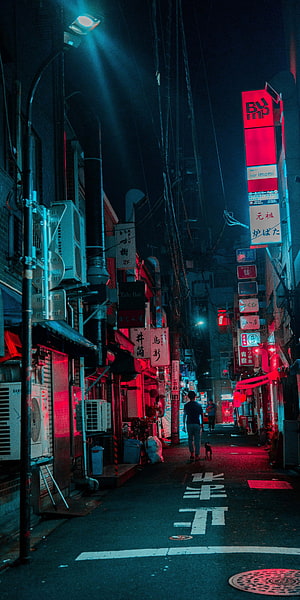 Neon-lit Japanese alleyway at night with vibrant red and blue signage, a lone figure walking a dog, and atmospheric urban street photography HD phone wallpaper