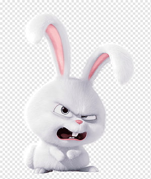 Snowball the White Rabbit from The Secret Life of Pets with Angry Expression HD phone wallpaper