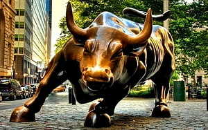 Charging Bull Statue in New York City Financial District HD wallpaper