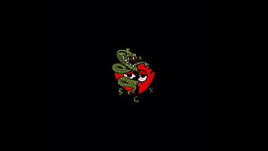 Brocasito Snake and Skull Logo on Black Background HD wallpaper
