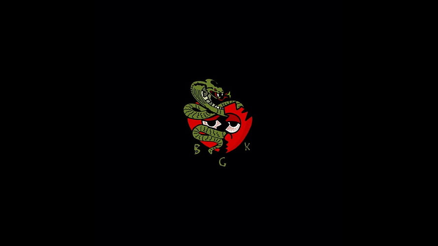 Brocasito Snake and Skull Logo on Black Background HD wallpaper