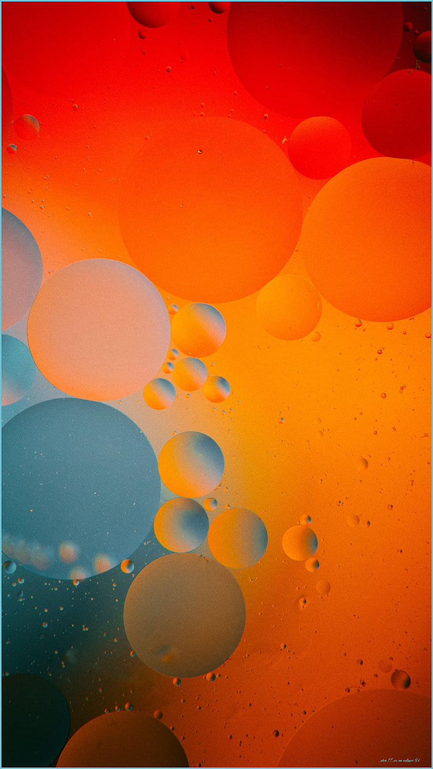 Abstract Macro Photography of Colorful Oil and Water Bubbles in Warm Orange and Cool Blue Tones HD phone wallpaper