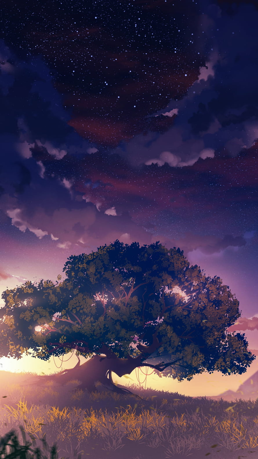 Starry Night Sky Over Large Tree in Grassy Field HD phone wallpaper