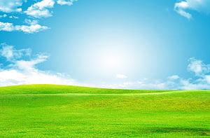Serene Green Rolling Hills Under a Bright Blue Sky with Fluffy White Clouds HD wallpaper