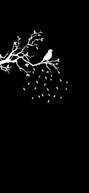 Minimalist White Bird Perched on Branch with Falling Leaves on Black Background HD phone wallpaper