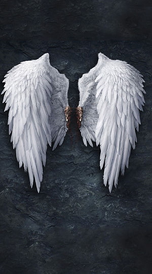 Lucifer Morningstar White Feathered Wings on Dark Stone Background HD phone wallpaper