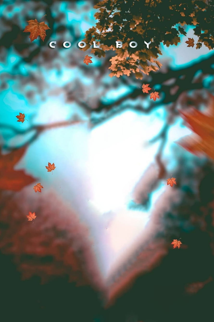 Autumn Maple Leaves Drifting Through Misty Forest Canopy HD phone wallpaper