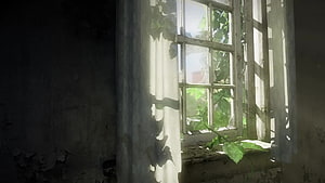 Sunlight streaming through an old window in an abandoned room with peeling paint and overgrown plants HD wallpaper