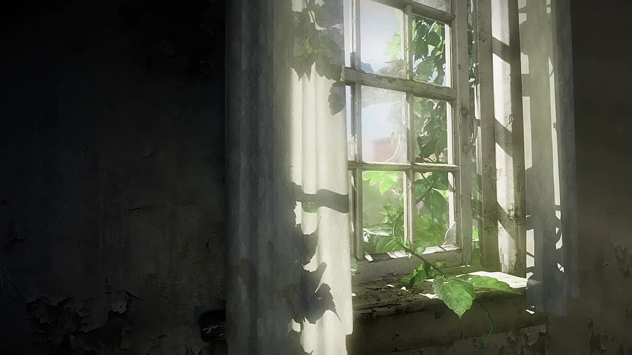 Sunlight streaming through an old window in an abandoned room with peeling paint and overgrown plants HD wallpaper