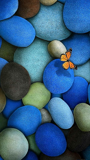 Monarch Butterfly Resting on Vibrant Blue and Green Smooth Pebbles HD phone wallpaper