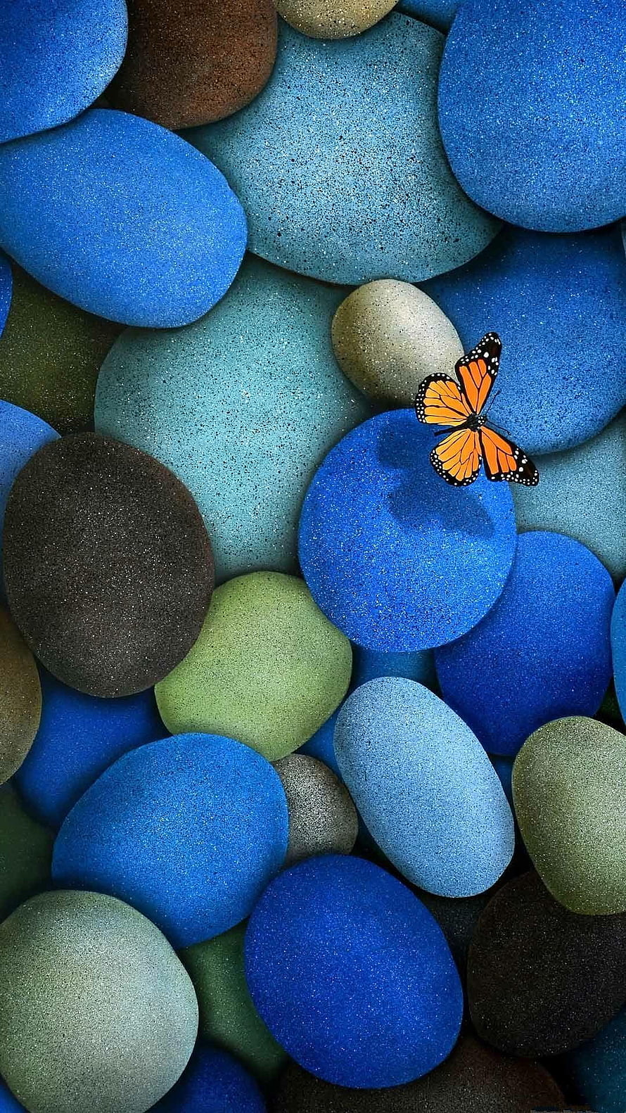 Monarch Butterfly Resting on Vibrant Blue and Green Smooth Pebbles HD phone wallpaper