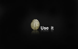 Human Brain Model on Black Background with Use It Text, 4 Best for Work HD wallpaper