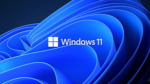 Windows 11 Default Blue Bloom Abstract Wallpaper with Official Logo HD wallpaper