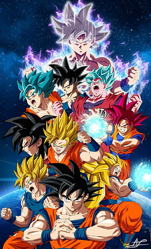 Dragon Ball Super Goku All Transformations Wallpaper HD phone wallpaper