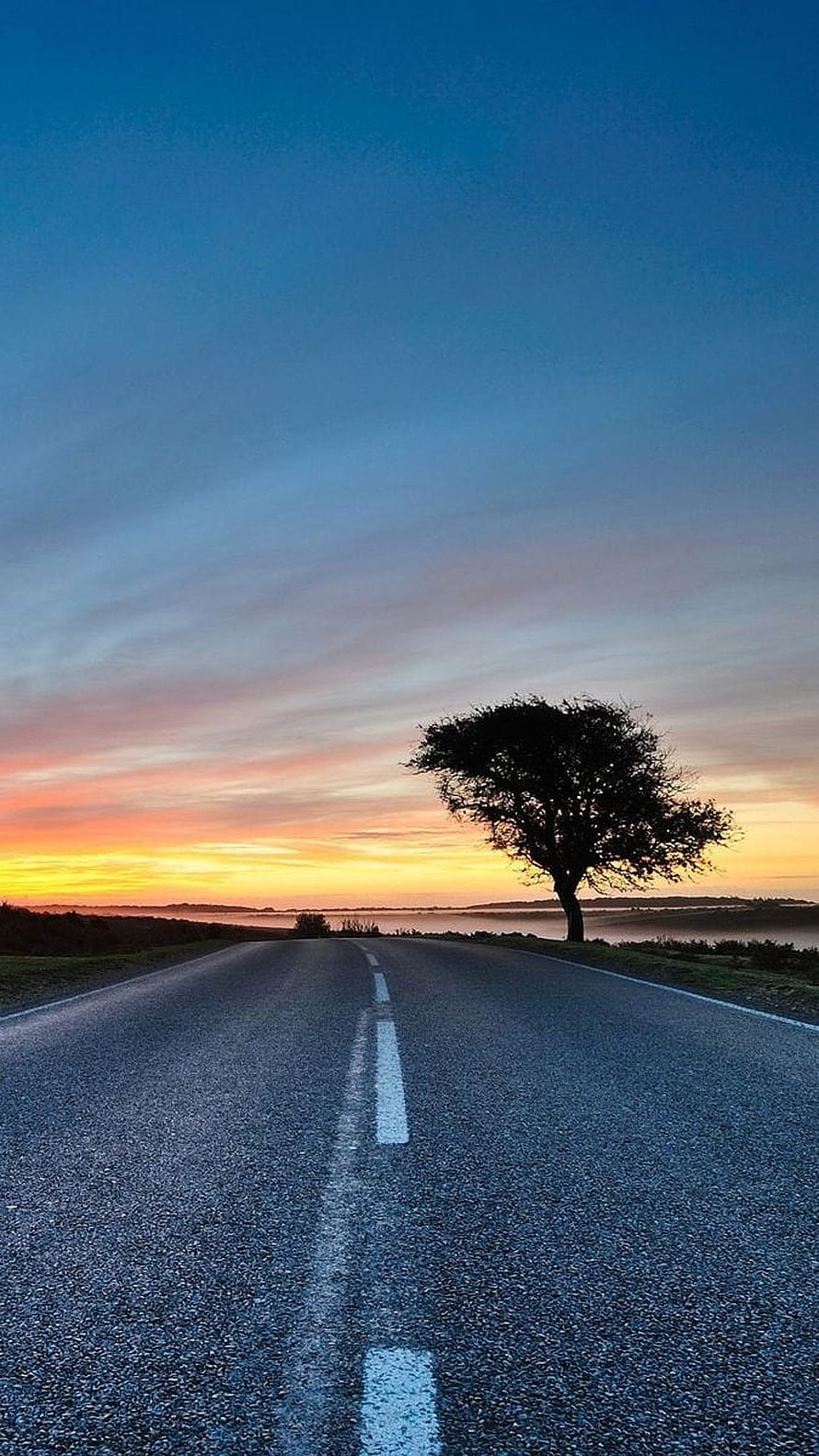 Lone Tree Silhouette on Empty Highway at Sunset with Misty Horizon HD phone wallpaper