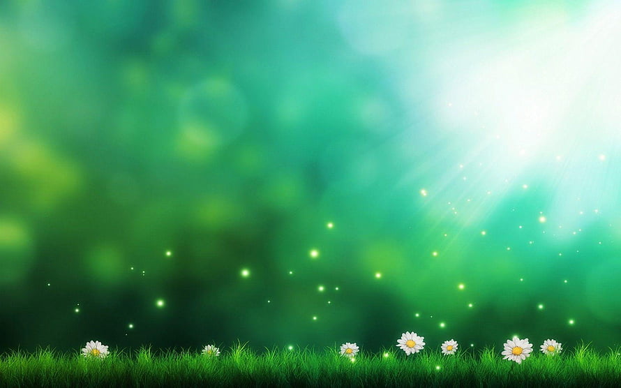 Dreamy Green Meadow with Daisies and Sunlight Bokeh HD wallpaper