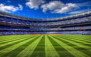 Vibrant Cricket Stadium Interior With Striped Green Pitch And Blue Seating Under A Bright Sky HD wallpaper